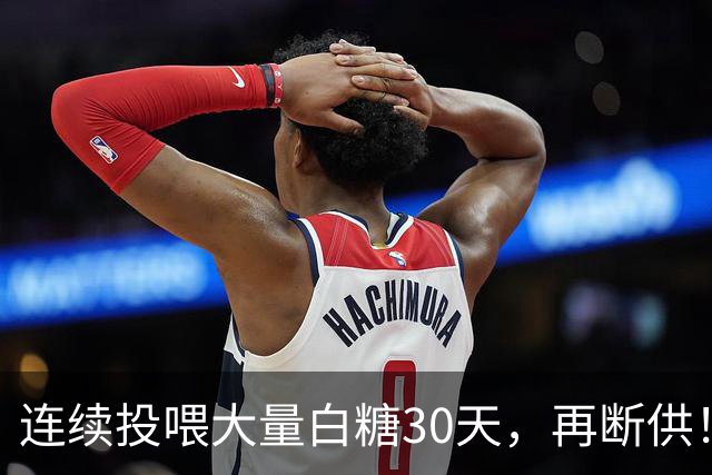 连续投喂大量白糖30天，再断供！国外网红扮“蚂蚁天神”整蛊野生蚁群